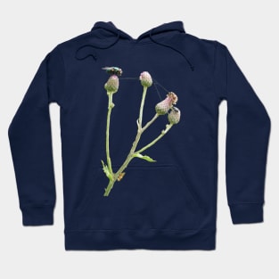 Three Insects On Flower Hoodie